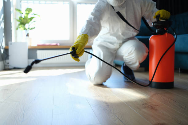 Reliable Sewage Cleanup contractor in Franklin Park, FL by Trauma Clean Pros